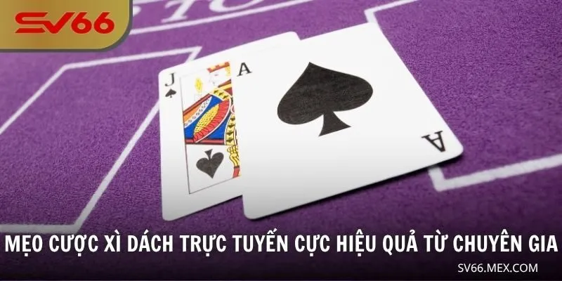 Mẹo cược Xì dách trực tuyến cực hiệu quả từ chuyên gia